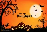 A jihadist halloween in new york  islamic state may have imploded  but is 2 0 is spreading across the world