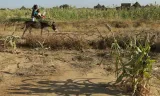 Climate change 'will create world's biggest refugee crisis'