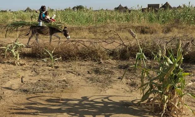 Climate change 'will create world's biggest refugee crisis'