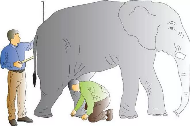 The nobel and the ig nobel prizes