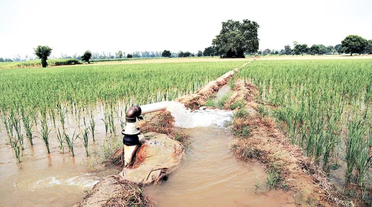 From plate to plough  farm to distant shores