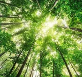 For a wider cover  meeting climate goals