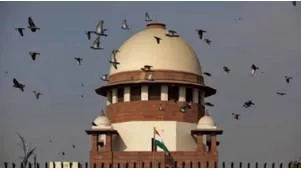 Supreme court  diminished