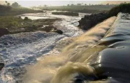 The superbugs of hyderabad