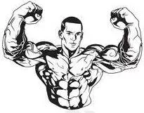 Sinewy - Powerful and sturdy