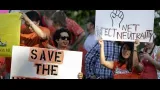 What is net neutrality and why should i care 