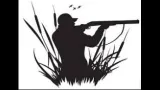 Hunting for solutions