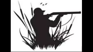 Hunting for solutions