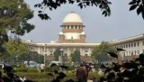 Speedy  decisive  on trial courts awarding death penalty