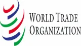 The decline of the wto