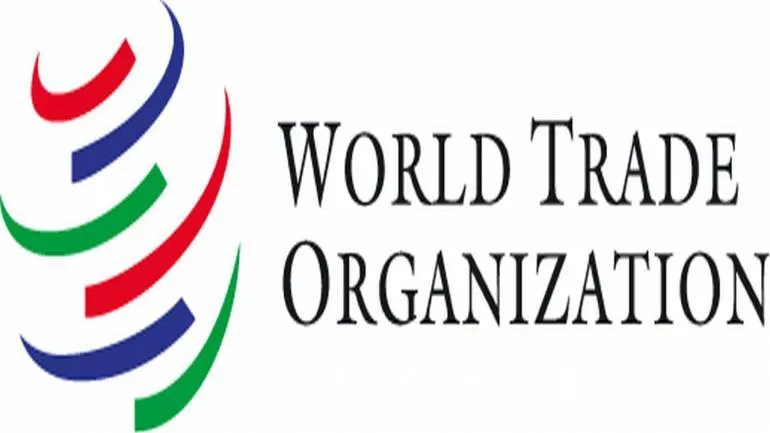 The decline of the wto