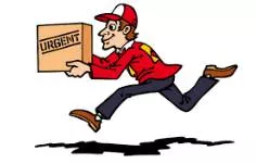Exigency  - (An urgent need or demand/ something that is necessary in a particular situation)