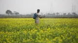 Narendra modi government has not overlooked farmers’ concerns