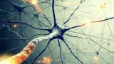 Our brains may be 100 times more powerful than we thought