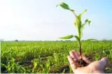 Agriculture needs a reforms package 