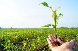 Agriculture needs a reforms package 