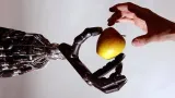 A good year for artificial intelligence