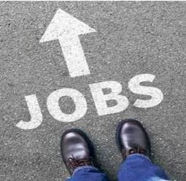 Boosting job creation across all sectors