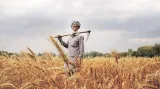 How government can double farmer incomes