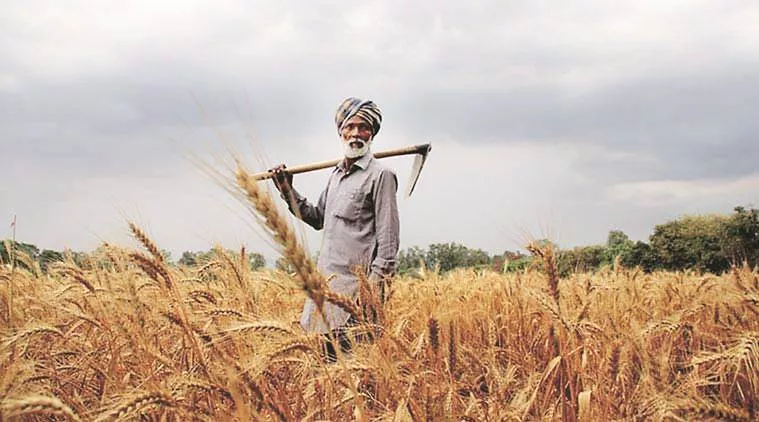 How government can double farmer incomes
