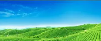 Farming has a huge impact on the environment  enter carbon trapping