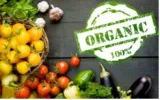 Is organic really better  4 food myths debunked by science