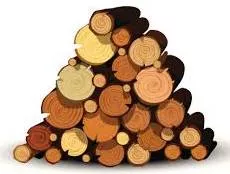 Pile  - (A large amount of something.)