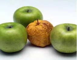 Shrivel  - (To become reduced to inanition, helplessness, or inefficiency),