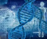 Staying ahead of the double helix