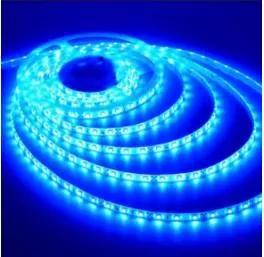 Beware of led lights  cautions expert