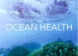 Us absent from global meeting on ocean health  that’s bad news for the planet