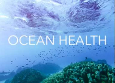 Us absent from global meeting on ocean health  that’s bad news for the planet