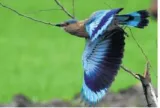 Warming could threaten half of species in 33 key areas  report