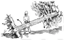 Deracinate  - (Uproot (someone) from their natural geographical, social, or cultural environment.)