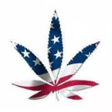The latest trend in online shopping  marijuana