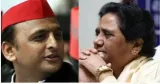 Unity in defeat  sp bsp ties after rajya sabha polls