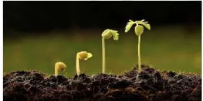 Infancy  - (The early stage in the development or growth of something.)