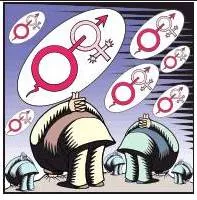 New nirbhayas