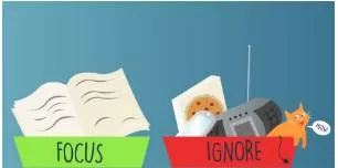 Peripheral  - Something that is peripheral is not as important as something else.