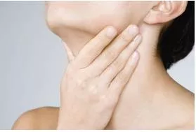 Gullet  - The passage by which food passes from the mouth to the stomach.