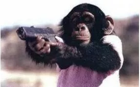 Brandish  - To wave something in the air in a threatening or excited way: