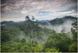 Become truly beautiful  inside out