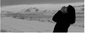 Cry in the wilderness  - Someone whose suggestions are ignored.