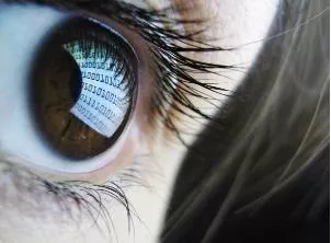 Apparent  - Able to be seen or understood.