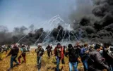 Death in gaza 