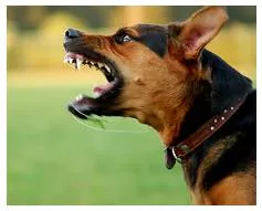 Vicious  - Deliberately cruel or violent.