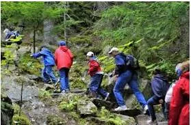Excursion  - A short journey or trip, especially one taken as a leisure activity.