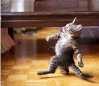 Strut  - Walk in a proud way, with head held high and chest out, as if someone is very important.