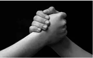Fidelity  - Loyalty to a person, organization, or set of beliefs.