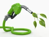 Policy on biofuels  green push  
